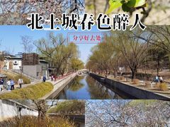 -元大都城垣遗址公园