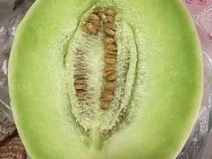 -南汇水蜜桃采摘(大团店)