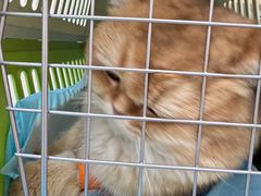 -芭比堂动物医院·CT·微创中心(新顺分院)