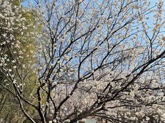 -崂山九水游览区
