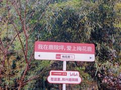 -鹿院坪生态旅游景区