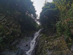 -梧桐山风景名胜区