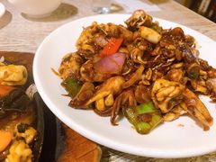 酱爆海兔-渔家颂歌渔家味道(青石路店)