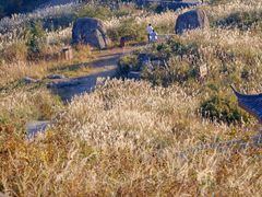 -东白山