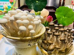 -松沪名灶·豆浆鱼头·新上海菜(飞航吾悦广场店)