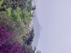 -信号山公园