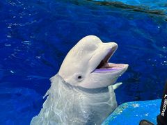 -石林冰雪海洋世界