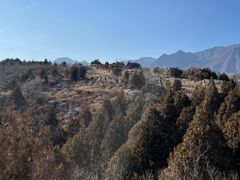 -白水寺森林公园