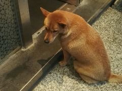 -星巴克(广州淘金路店)