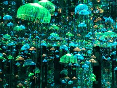 -杭州西湖星空魔幻城(星空艺术馆品牌旗舰店)