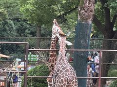 -红山森林动物园