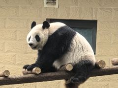 -石家庄市动物园