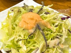 蔬菜沙拉-喇喇排骨火锅·传统韩式脊骨汤(望京西园总店)