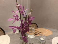 -HUATA 'Holiday Plan 花榻