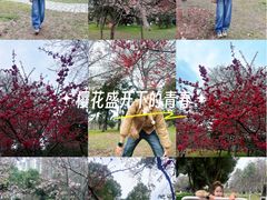-堤角公园