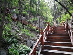 -大岭沟猕猴桃谷风景区