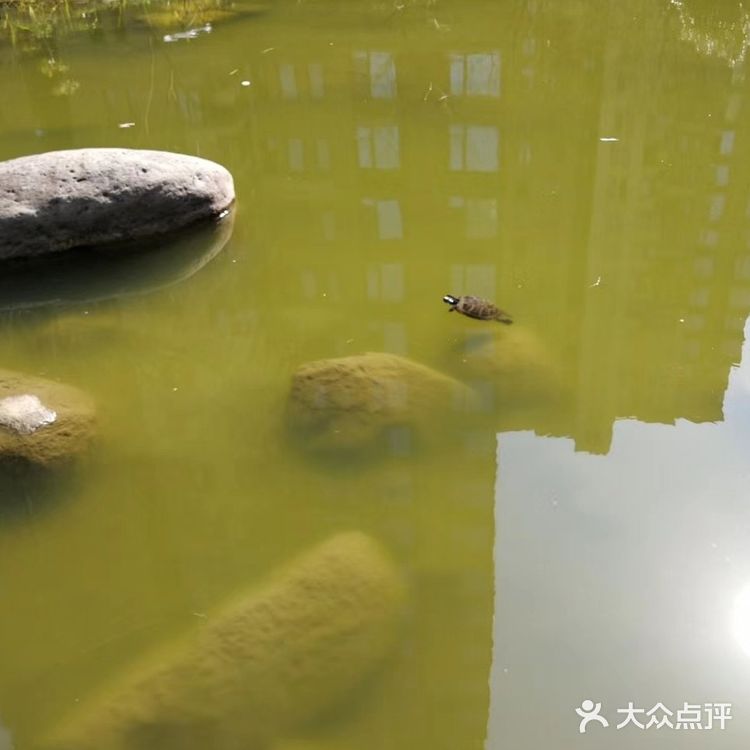 眼前的景，使心情豁然开朗，真的要感谢春天