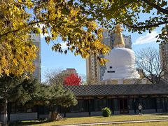 -护国法轮寺