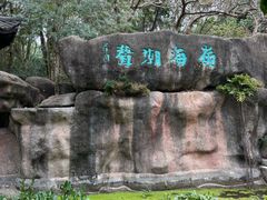 -深圳国际园林花卉博览园