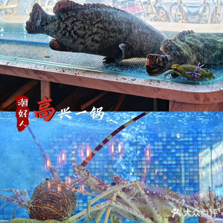 沪上8年老店，不鲜不上桌！-高兴一锅！👍👍👍