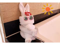 -三亚亚龙湾雅高铂尔曼别墅度假酒店