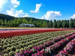 -富田农场