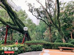 -香港大学