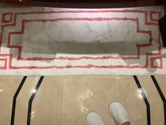 -广州富力丽思卡尔顿酒店