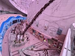 -陕西自然博物馆