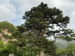 -秦岭终南山世界地质公园翠华山景区