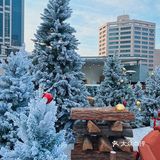 北欧风的白雪圣诞树☃️太好拍啦