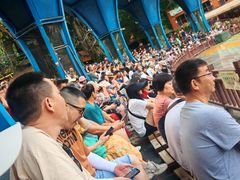 -西双版纳原始森林公园