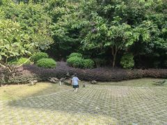 -南宁荔园维景国际酒店·荔园中餐厅