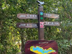-华侨城湿地公园