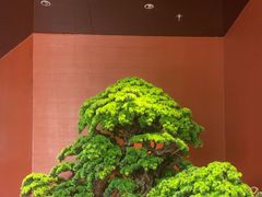 -阿伟海鲜楼·福建菜(延寿店)