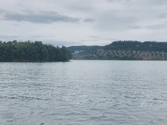 -千岛湖东南湖区
