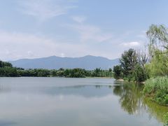 -翠湖国家城市湿地公园