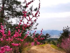 -天台山赤城山景区