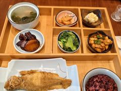 -泰康之家·申园