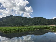 景点-腾冲北海湿地