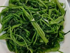 蒜蓉炒通菜-蒲园食堂(中山大学广州校区南校园店)