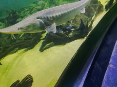 -江和美海洋公园