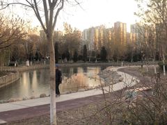 -绿岛公园(滨海新区)