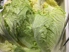 白菜-欢乐牧场(T12店)