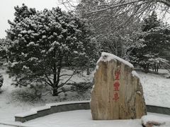 -丰台花园