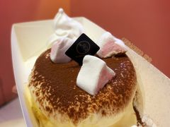 小提苏梳乎厘-狐狸和向日葵(北京路店)