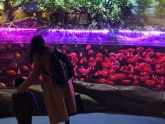 -梦幻海洋王国(吾悦广场张家港店)