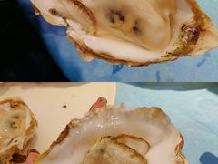 -千岛蚝高压锅生蚝·人参火锅(白云万达店)