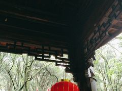-富春桃源风景区