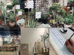 -六出私塾LiuChu•成人美术书法系统课程专业画室(熊婆婆的花园店)